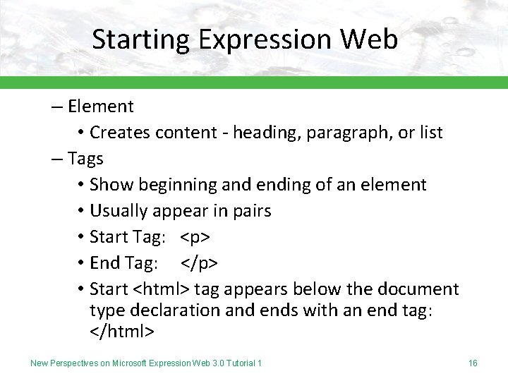 Starting Expression Web – Element • Creates content - heading, paragraph, or list –