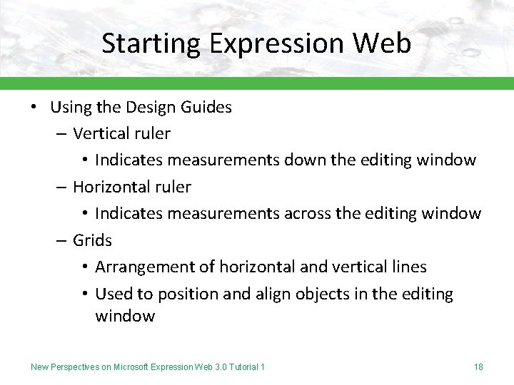 Starting Expression Web • Using the Design Guides – Vertical ruler • Indicates measurements