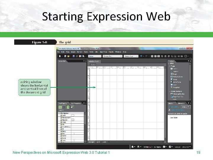 Starting Expression Web New Perspectives on Microsoft Expression Web 3. 0 Tutorial 1 19