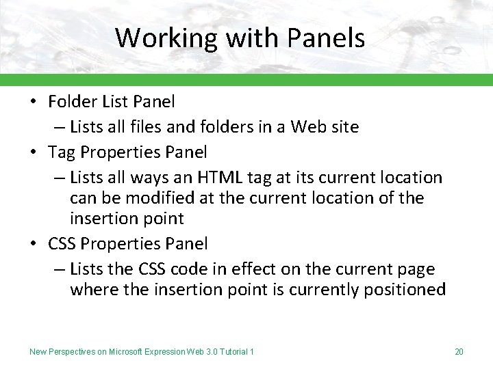 Working with Panels • Folder List Panel – Lists all files and folders in
