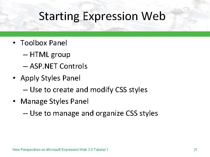 Starting Expression Web • Toolbox Panel – HTML group – ASP. NET Controls •