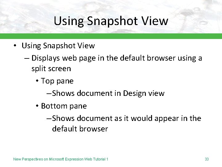 Using Snapshot View • Using Snapshot View – Displays web page in the default