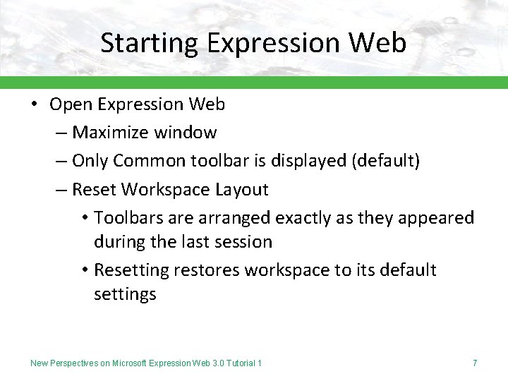 Starting Expression Web • Open Expression Web – Maximize window – Only Common toolbar