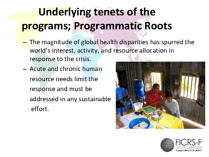 Underlying tenets of the programs; Programmatic Roots – The magnitude of global health disparities