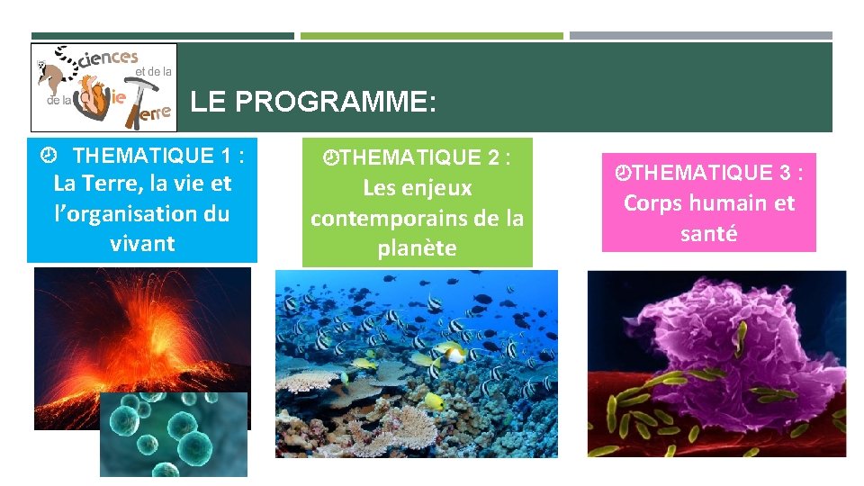 LE PROGRAMME: ¾ THEMATIQUE 1 : La Terre, la vie et l’organisation du vivant