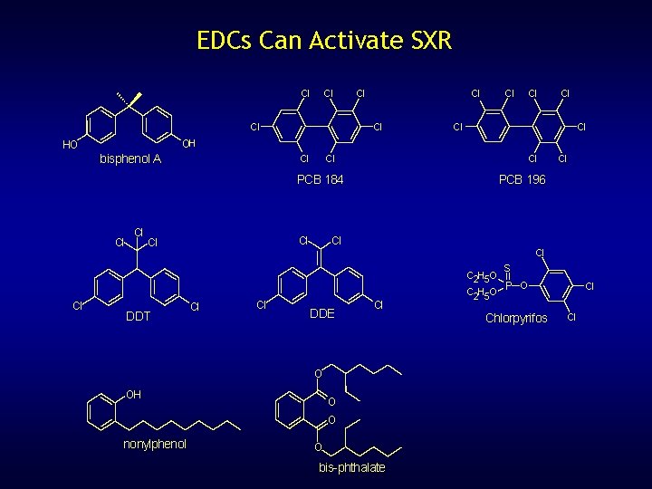 EDCs Can Activate SXR Cl Cl Cl OH HO bisphenol A Cl Cl Cl