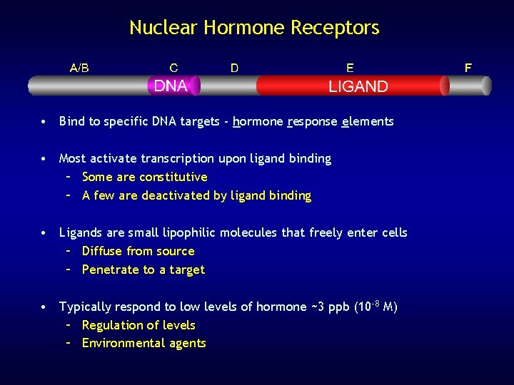 Nuclear Hormone Receptors • Bind to specific DNA targets - hormone response elements •