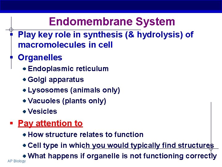 Endomembrane System § Play key role in synthesis (& hydrolysis) of macromolecules in cell