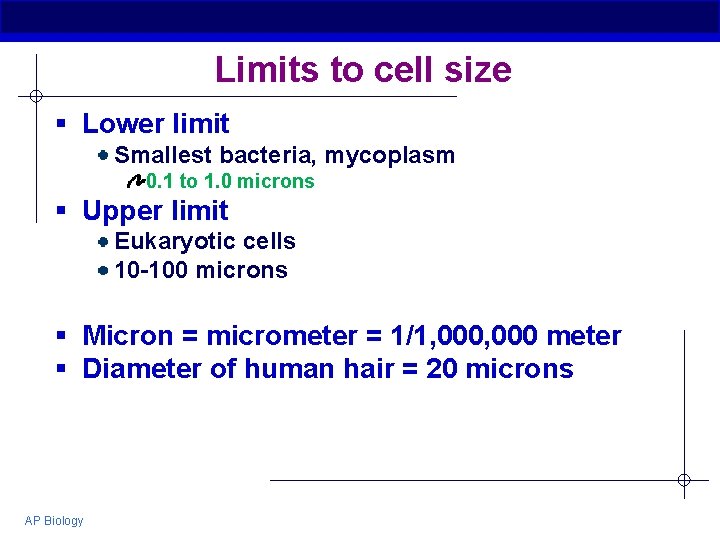 Limits to cell size § Lower limit Smallest bacteria, mycoplasm 0. 1 to 1.