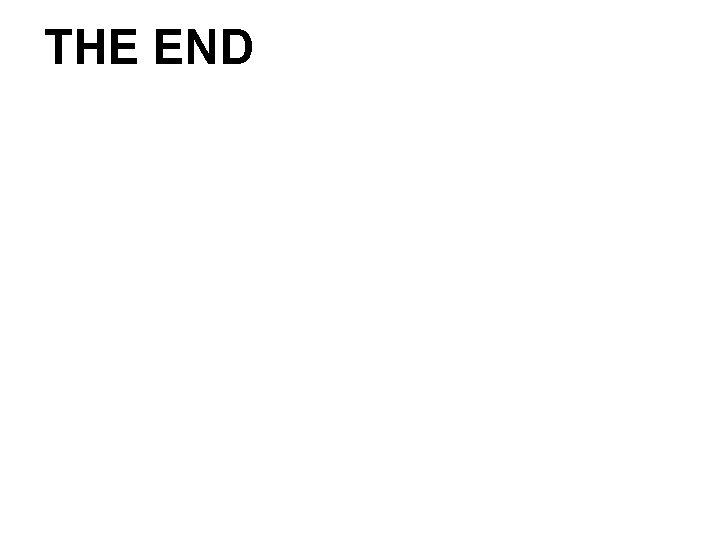 THE END 