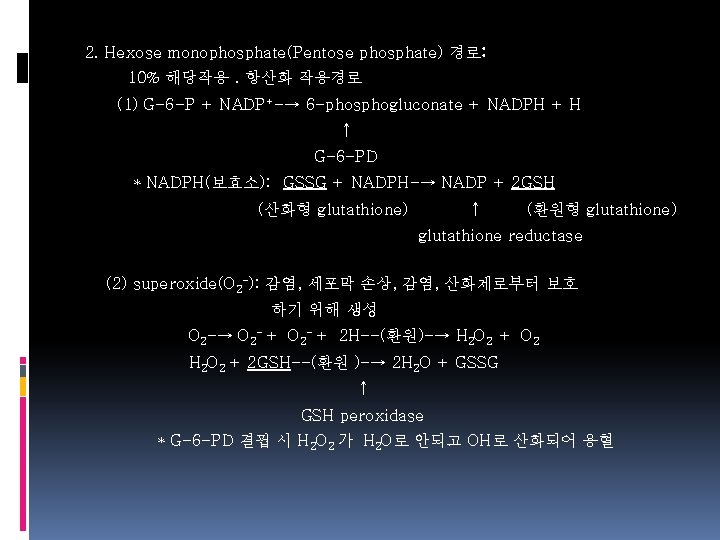 2. Hexose monophosphate(Pentose phosphate) 경로: 10% 해당작용. 항산화 작용경로 (1) G-6 -P + NADP+-→