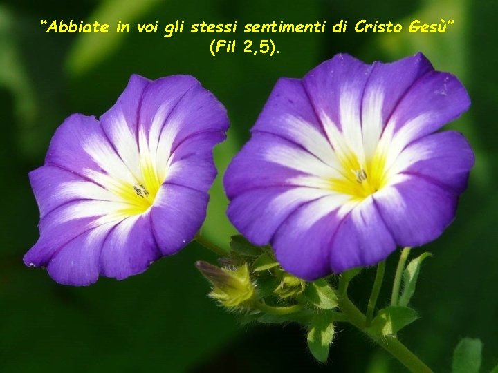 “Abbiate in voi gli stessi sentimenti di Cristo Gesù” (Fil 2, 5). 