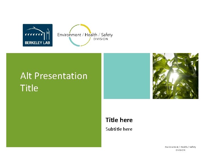 Alt Presentation Title here Subtitle here Environment / Health / Safety DIVISION Alt Presentation Title here Subtitle here Environment / Health / Safety DIVISION