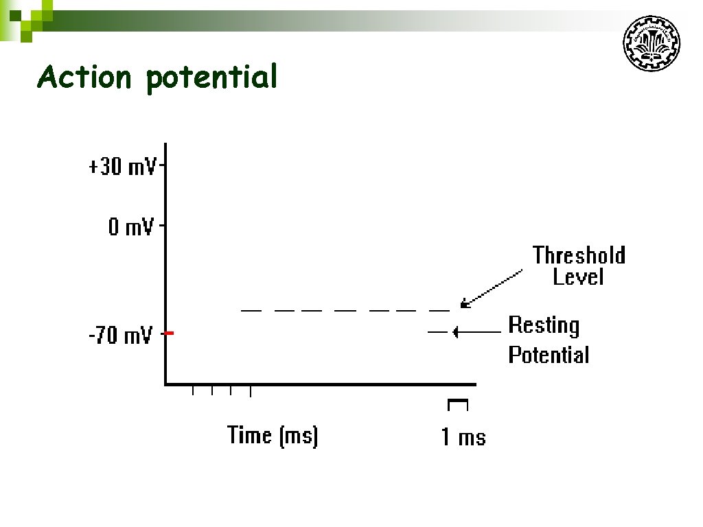 Action potential 