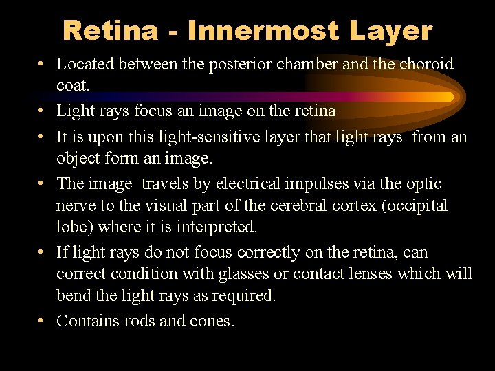 Retina - Innermost Layer • Located between the posterior chamber and the choroid coat.