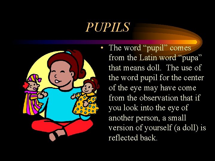 PUPILS • The word “pupil” comes from the Latin word “pupa” that means doll.