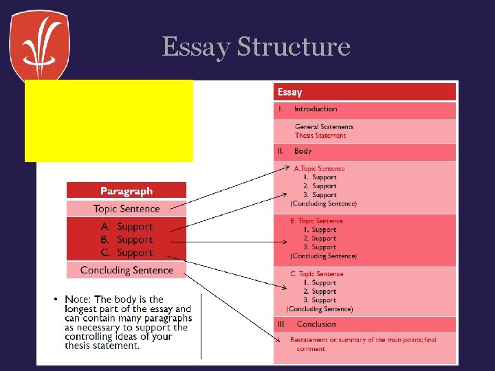 Essay Structure Essay Structure