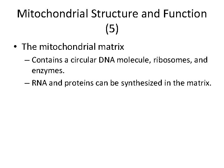 Mitochondrial Structure and Function (5) • The mitochondrial matrix – Contains a circular DNA