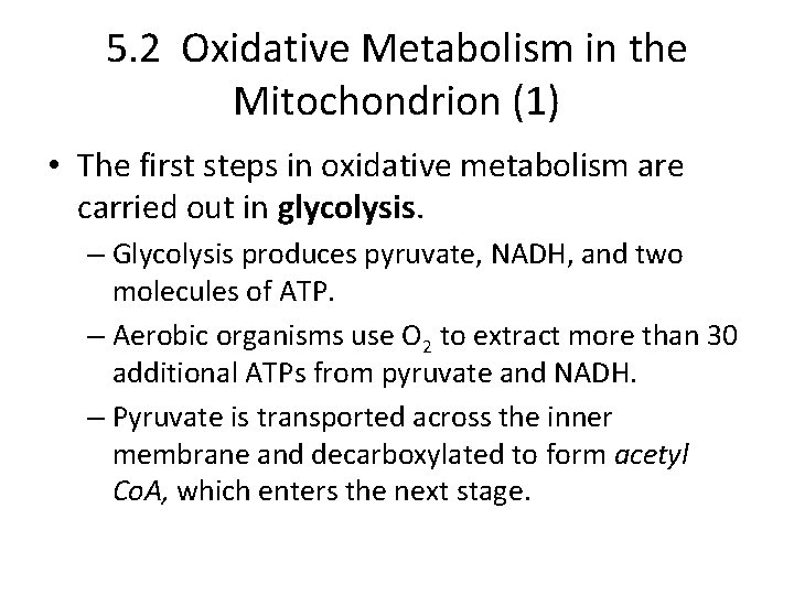 5. 2 Oxidative Metabolism in the Mitochondrion (1) • The first steps in oxidative