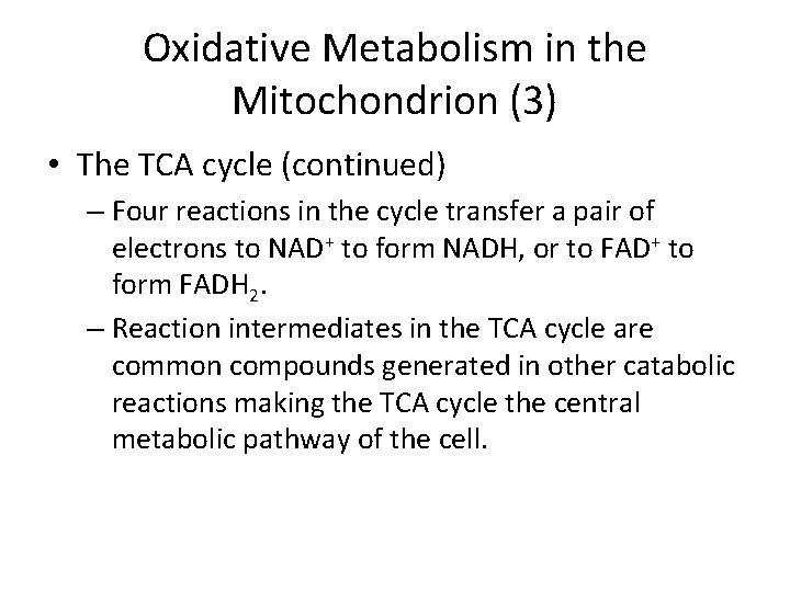 Oxidative Metabolism in the Mitochondrion (3) • The TCA cycle (continued) – Four reactions