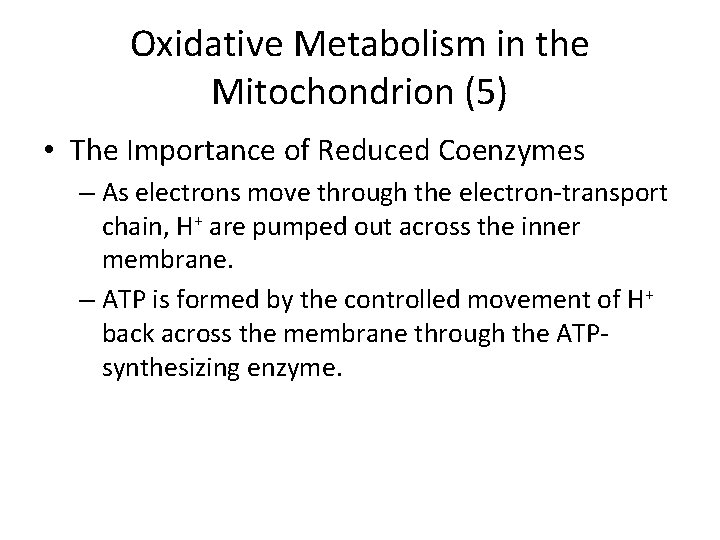 Oxidative Metabolism in the Mitochondrion (5) • The Importance of Reduced Coenzymes – As