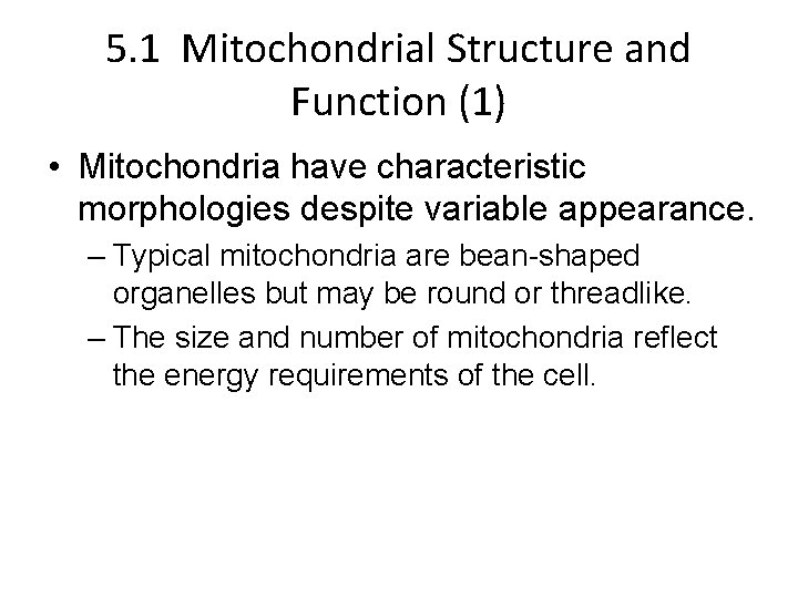 5. 1 Mitochondrial Structure and Function (1) • Mitochondria have characteristic morphologies despite variable