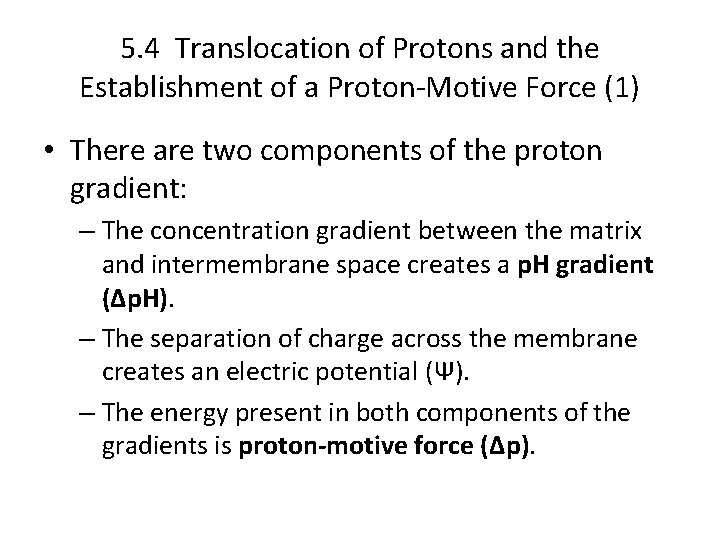 5. 4 Translocation of Protons and the Establishment of a Proton-Motive Force (1) •