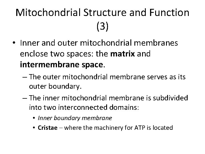 Mitochondrial Structure and Function (3) • Inner and outer mitochondrial membranes enclose two spaces: