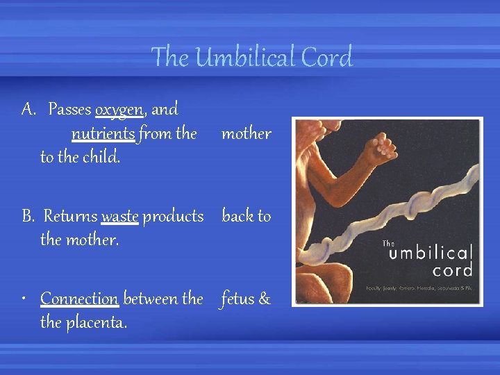 The Umbilical Cord A. Passes oxygen, and nutrients from the to the child. mother