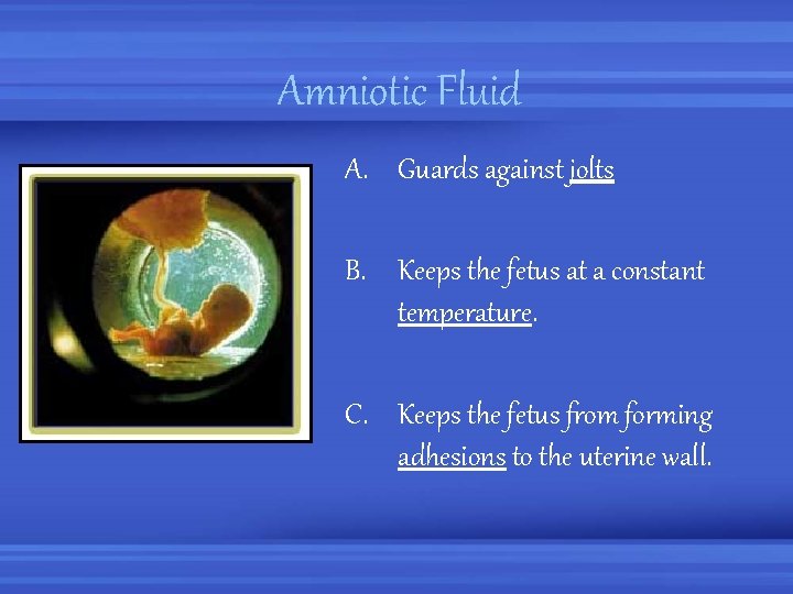 Amniotic Fluid A. Guards against jolts B. Keeps the fetus at a constant temperature.