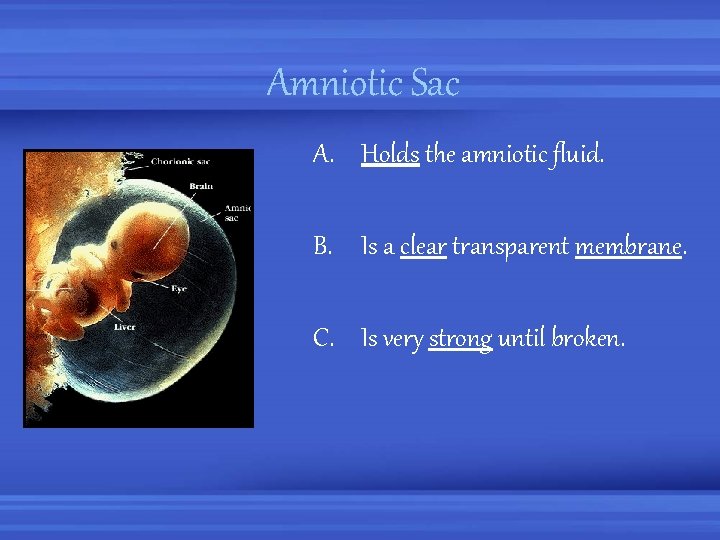 Amniotic Sac A. Holds the amniotic fluid. B. Is a clear transparent membrane. C.