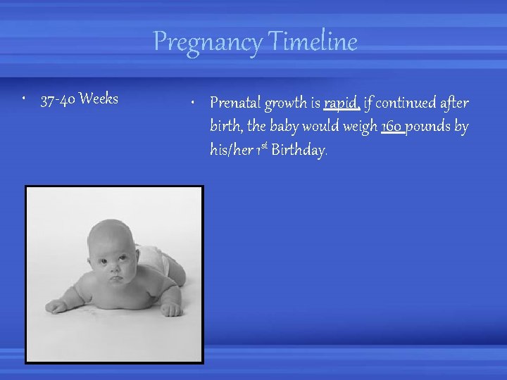 Pregnancy Timeline • 37 -40 Weeks • Prenatal growth is rapid, if continued after