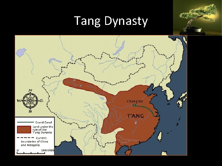 Tang Dynasty 