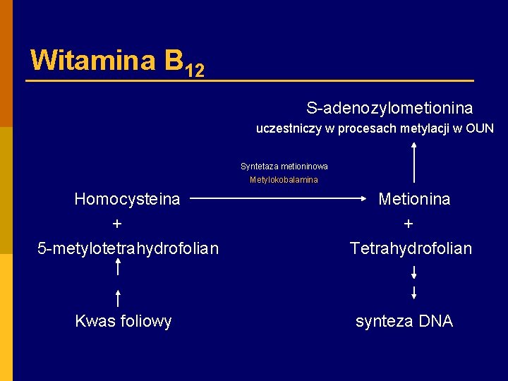 Witamina B 12 S-adenozylometionina uczestniczy w procesach metylacji w OUN Syntetaza metioninowa Metylokobalamina Homocysteina