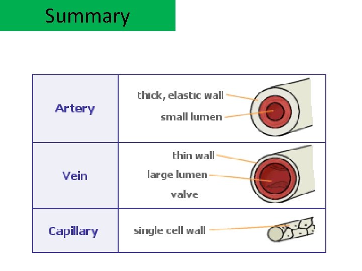 Summary 