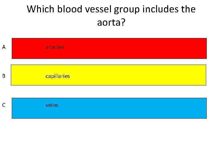 Which blood vessel group includes the aorta? A arteries B capillaries C veins 