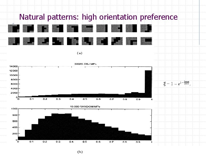 Natural patterns: high orientation preference 