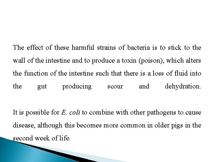 The effect of these harmful strains of bacteria is to stick to the wall