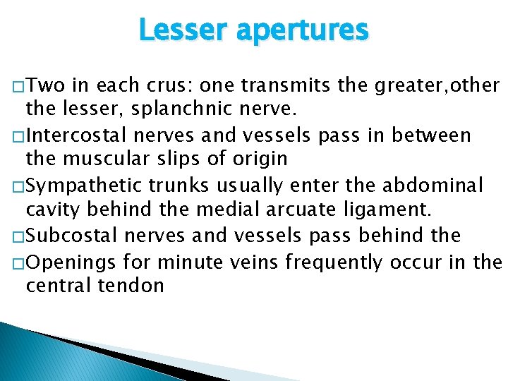 Lesser apertures � Two in each crus: one transmits the greater, other the lesser,