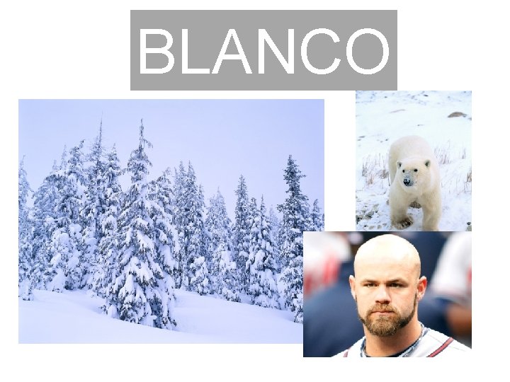 BLANCO 