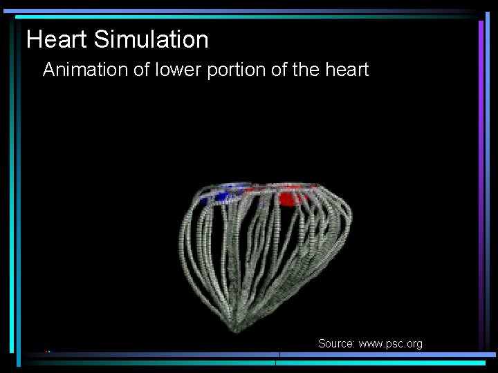 Heart Simulation Animation of lower portion of the heart Source: www. psc. org 