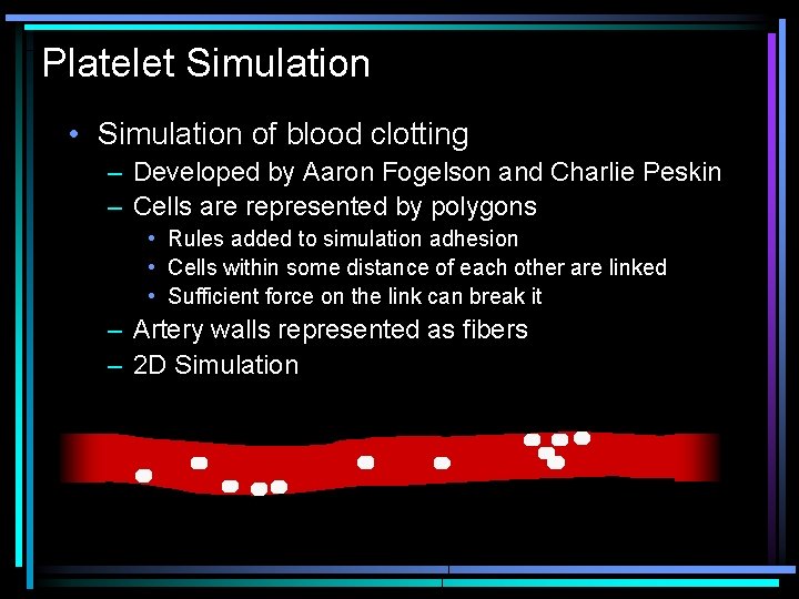 Platelet Simulation • Simulation of blood clotting – Developed by Aaron Fogelson and Charlie