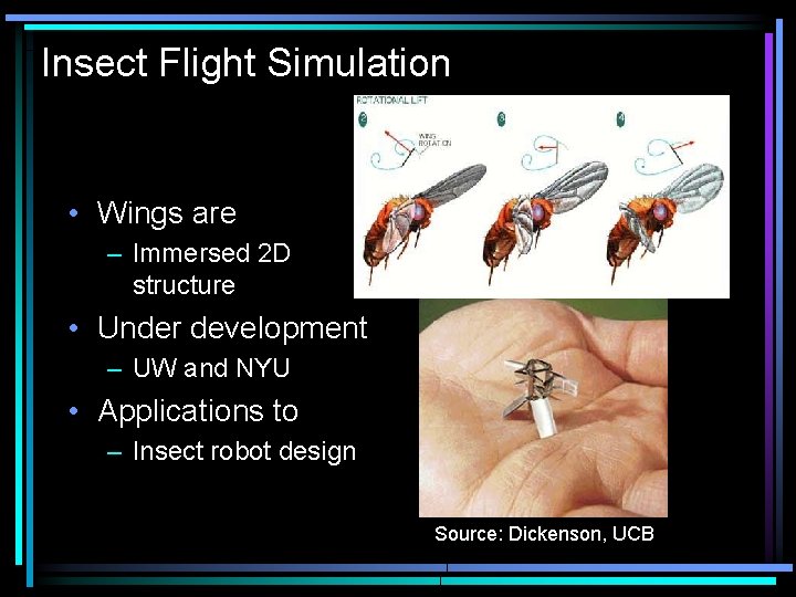 Insect Flight Simulation • Wings are – Immersed 2 D structure • Under development