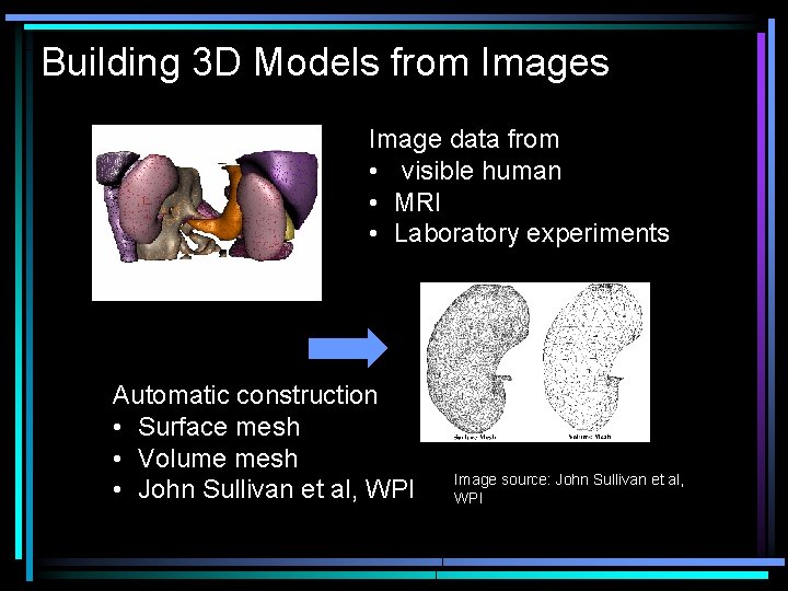 Building 3 D Models from Images Image data from • visible human • MRI