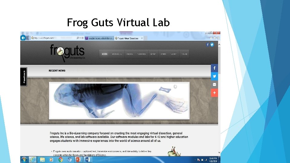 Frog Guts Virtual Lab 