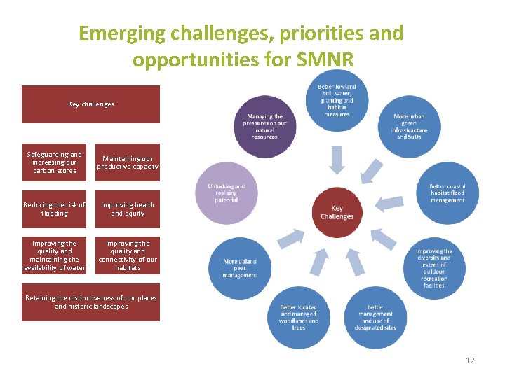 Emerging challenges, priorities and opportunities for SMNR Key challenges Safeguarding and increasing our carbon