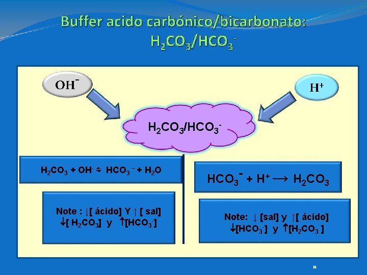 Buffer acido carbónico/bicarbonato: H 2 CO 3/HCO 3 OH- H+ H 2 CO 3/HCO