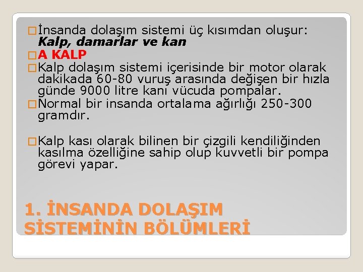 � İnsanda dolaşım sistemi üç kısımdan oluşur: Kalp, damarlar ve kan � A KALP