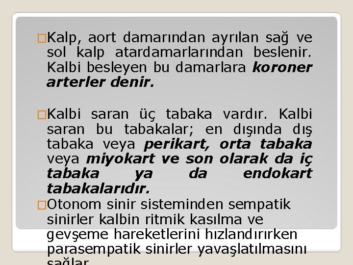 �Kalp, aort damarından ayrılan sağ ve sol kalp atardamarlarından beslenir. Kalbi besleyen bu damarlara