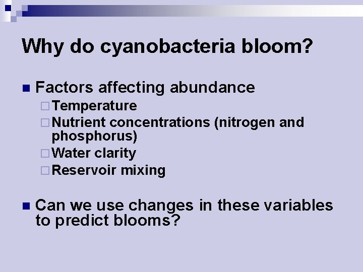 Why do cyanobacteria bloom? n Factors affecting abundance ¨ Temperature ¨ Nutrient concentrations phosphorus)
